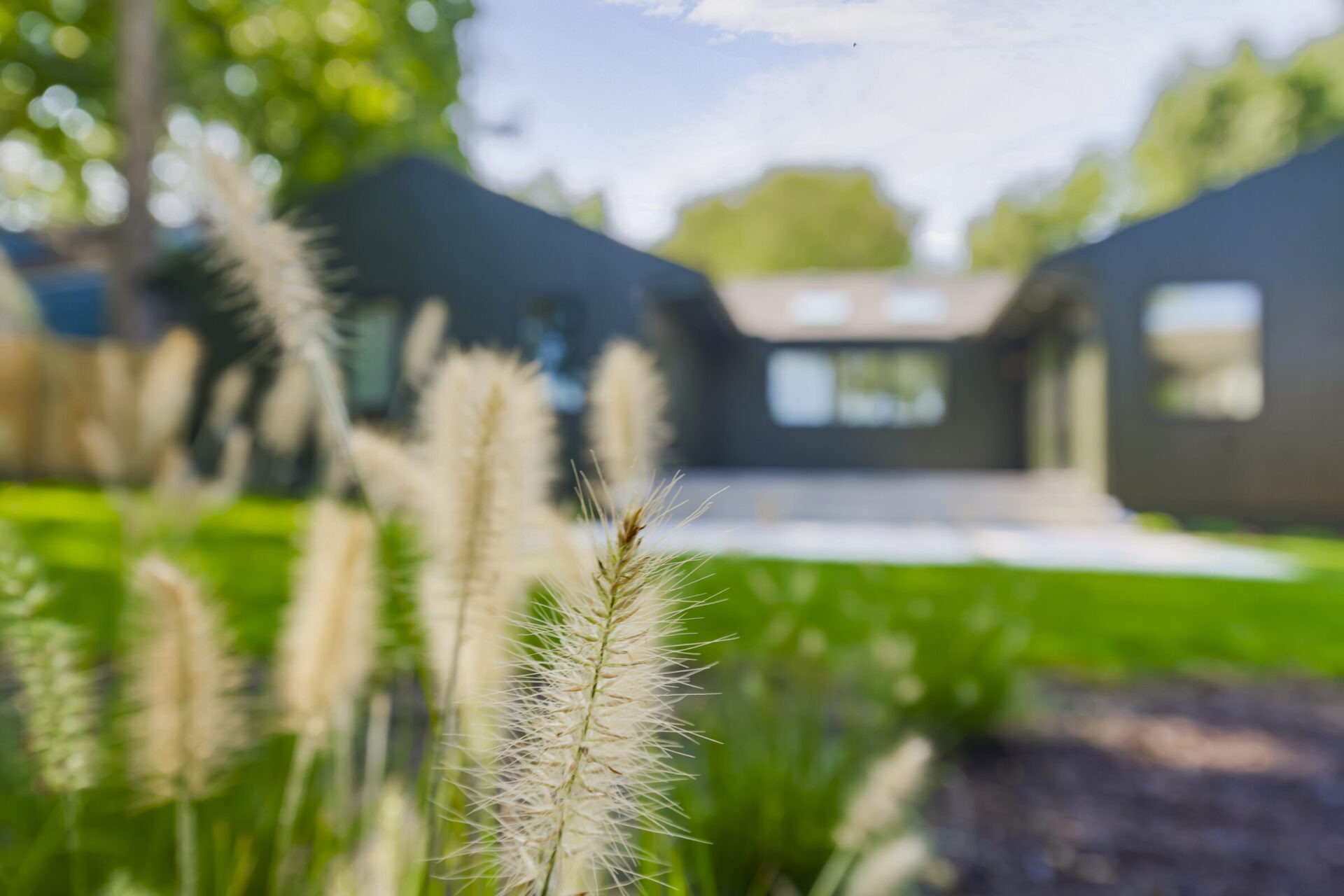 Blurred green lawn with ornamental grasses in foreground, modern dark gray house in background. Sunny day with lush trees surrounding the scene.