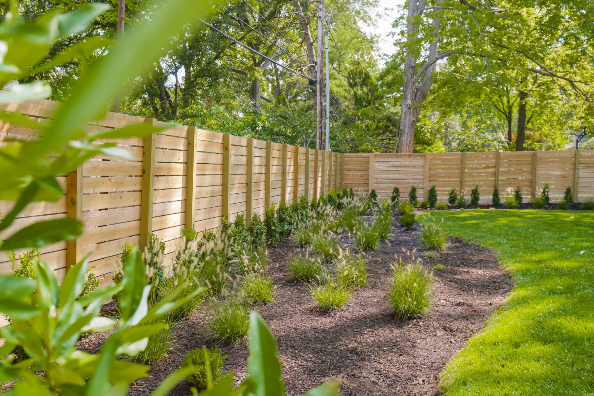 A landscaped garden with lush grass, small plants, and a tall wooden fence. Trees and bushes provide a serene, green backdrop.